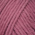 Drops Paris Cotton Uni Colour – Plum (66)