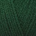 Hayfield Bonus DK – Bottle Green (839)