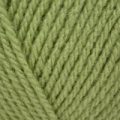 Hayfield Bonus Aran with Wool – Grasshopper (693)