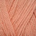 King Cole Cottonsoft DK – Apricot (1850)