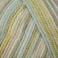 Sirdar Snuggly Baby Crofter DK – Hazel (177)