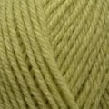 Sirdar Country Classic DK – Spring Green (868)