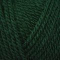 Hayfield Bonus Aran 100g – Bottle Green (839)