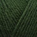 Sirdar Country Classic 4 Ply – Forest Green (967)