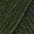 Stylecraft Life Chunky – Olive (2302)