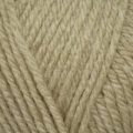 Stylecraft Life Chunky – Wheaten (2456)