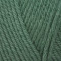 Stylecraft Life Chunky – Sea Green (2457)