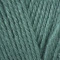 Stylecraft Life Aran – Sea Green (2457)