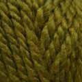 Stylecraft Life Super Chunky – Guacamole (2714)