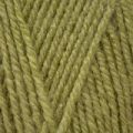 Stylecraft Life DK – Fern (2311)