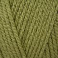 Stylecraft Special Aran – Meadow (1065)