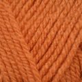 Stylecraft Special Aran – Spice (1711)