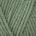 Stylecraft Special Aran – Sage (1725)