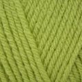 Stylecraft Special Chunky – Pistachio (1822)