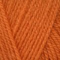 Stylecraft Special DK – Spice (1711)