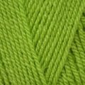 Stylecraft Special DK – Grass Green (1821)