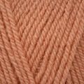 Stylecraft Special DK – Vintage Peach (1836)