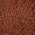 Wendy With Wool Aran – Cobnut (5504)